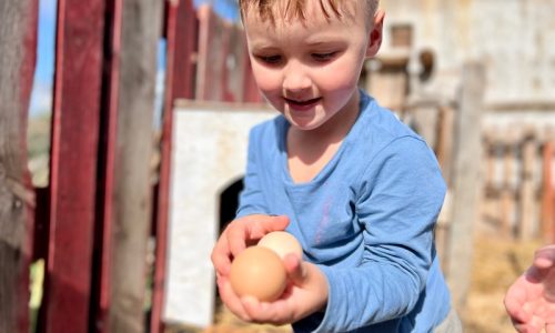 Creative Crafts and Play at Our Algarve Childcare Centre (10)