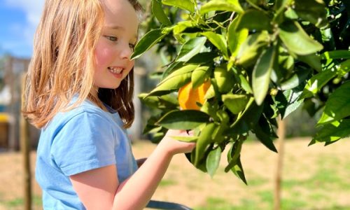 Exploring Nature Algarve Childcare Adventure Camp (4)