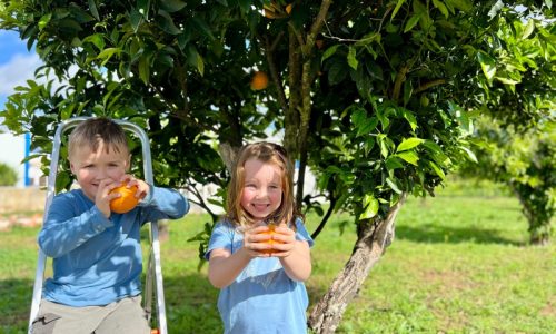 Algarve toddler group